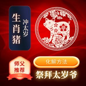 生肖猪-冲太岁-化解